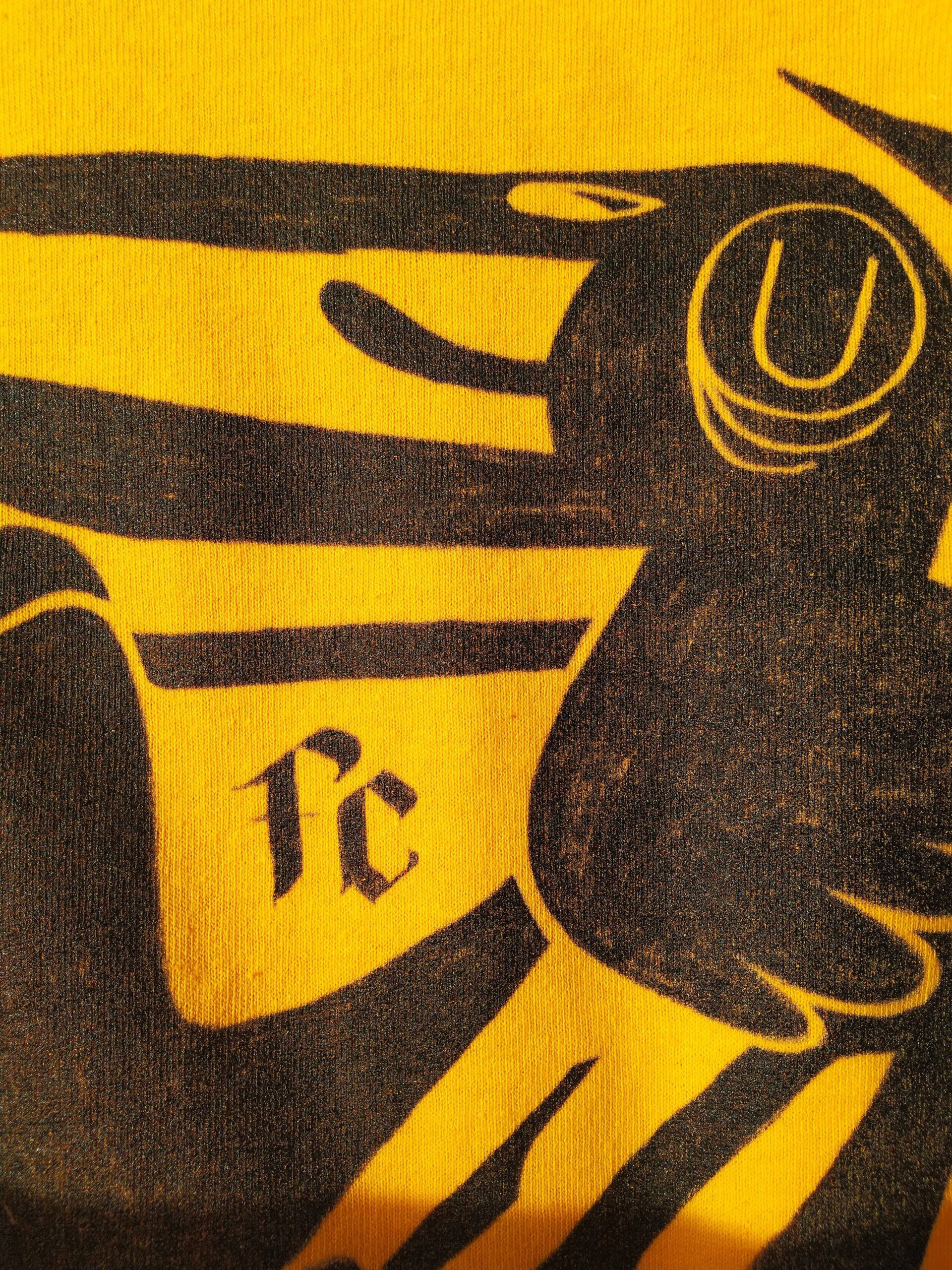 Corvus corax #1 - Unisex Jersey Short Sleeve Tee - Image 4